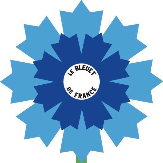 Bleuet-de-france 001